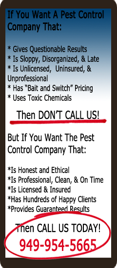 Pest Control of Orange County Sidebar